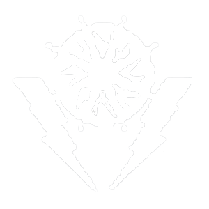 The First Descendant